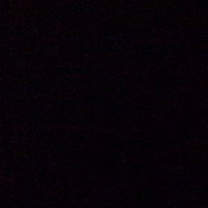 Meet your Posher, Dahlia